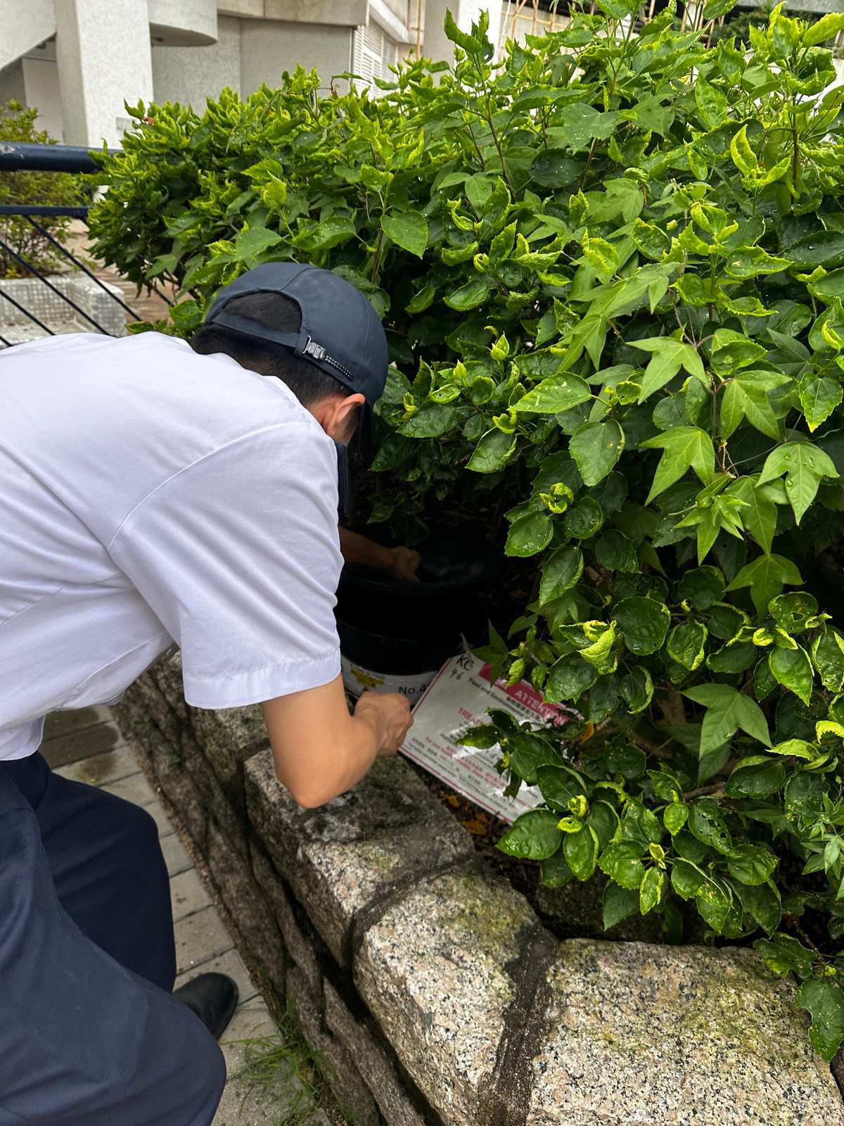 Hong Kong reports latest Aedes albopictus mosquito trap indices for September