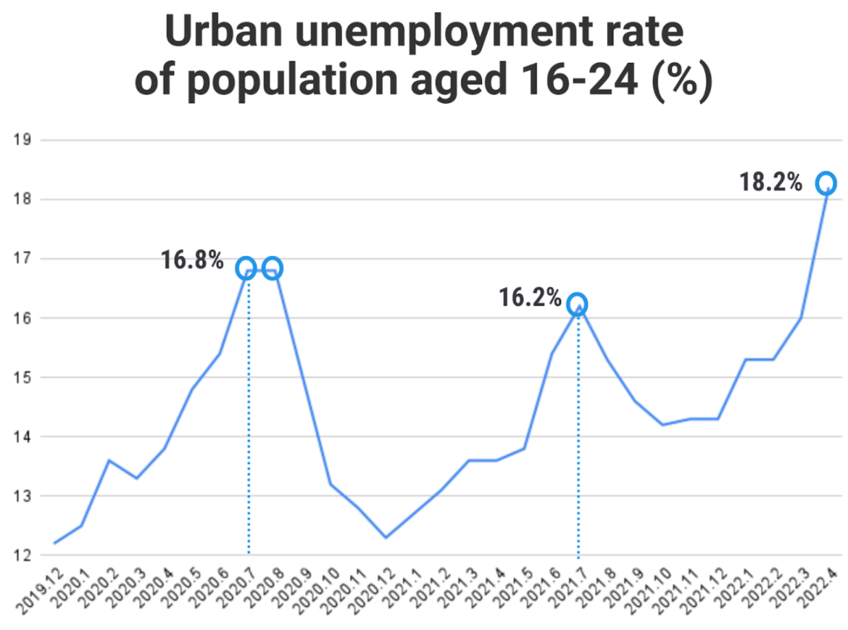High unemployment rate indicates bleak job prospects for university  graduates | China Labour Bulletin